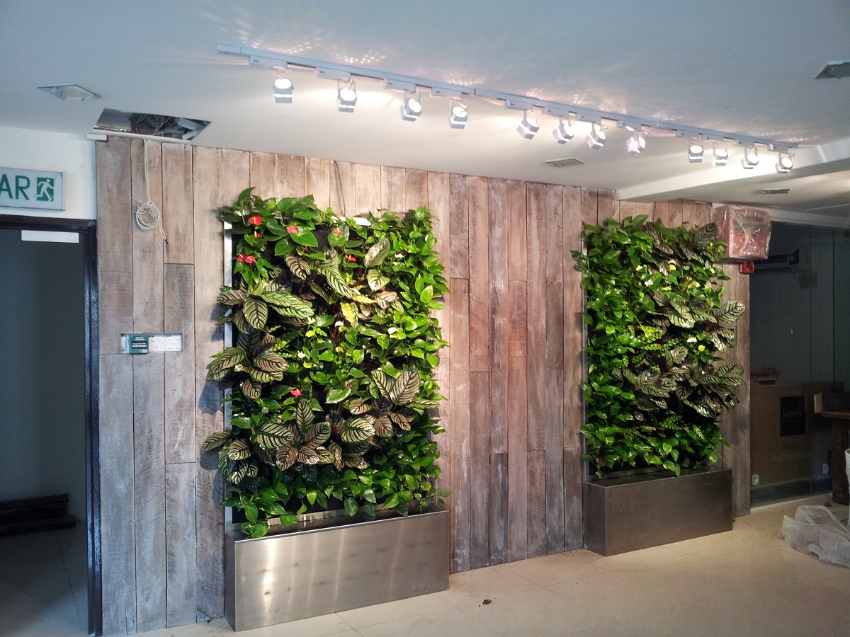 Point College Vertical Garden Revisit