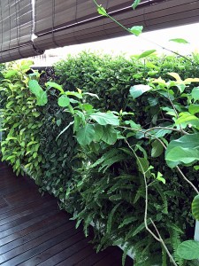 Green Wall Subang Height East 1