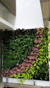 Green Wall Banyan Close Bandar Bukit Mahkota 2