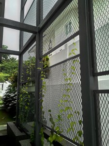 Green Screen, Bukit Damansara 2