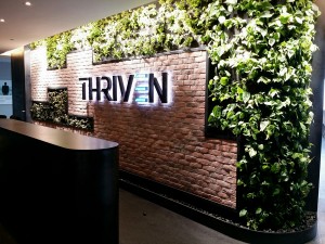 Thriven 2