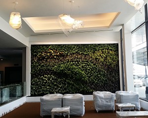 Cycle Carriage Bintang Berhad Green Wall 2