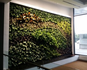 Cycle Carriage Bintang Berhad Green Wall