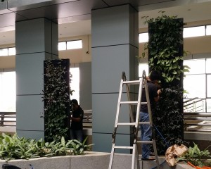 Green Wall TMRD