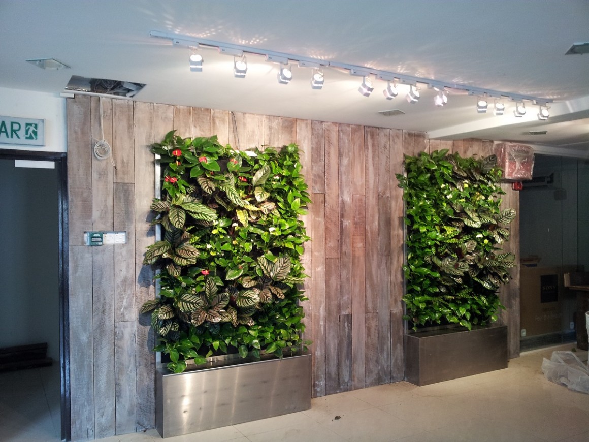 Vertical Garden (Revisited)