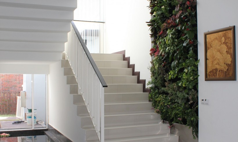 Indoor Vertical Garden