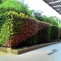 Vertical Garden in Gurney Plaza, Penang