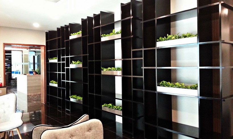 Eco World SS Planters