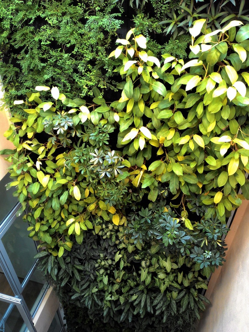 3 Story Indoor Courtyard Vertical Garden