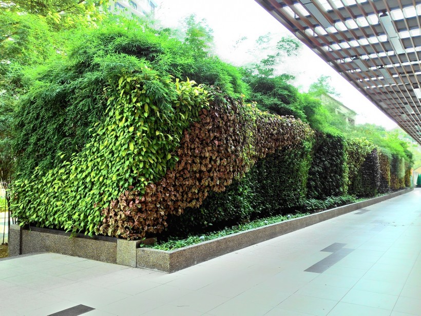 Vertical Garden Gurney Plaza Update