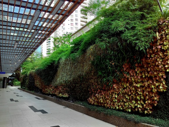 Vertical Garden Gurney Plaza Update