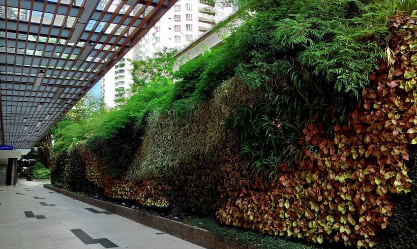 Vertical Garden Gurney Plaza Update