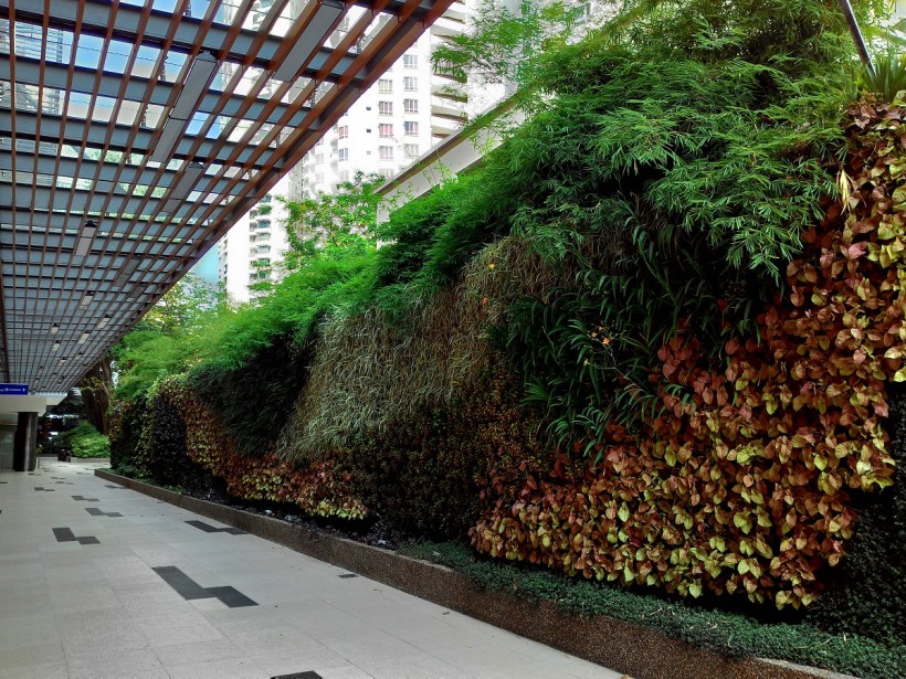 Vertical Garden Gurney Plaza Update