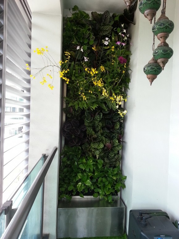 Bukit Pantai Vertical Garden