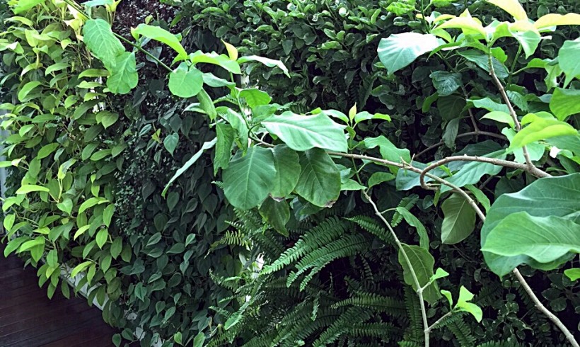 Green Wall, Subang Height East