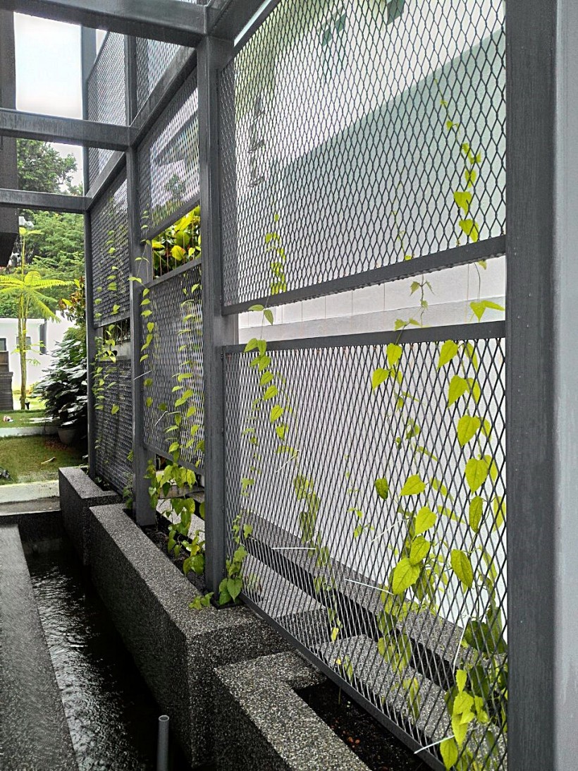 Green Screen, Bukit Damansara