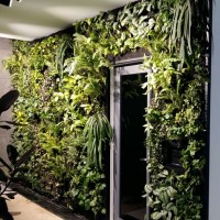 Indoor Jungle, Ara Damansara