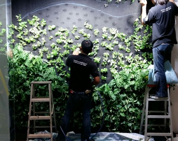 Indoor Vertical Garden, Eagle Eye Technologies Sdn Bhd