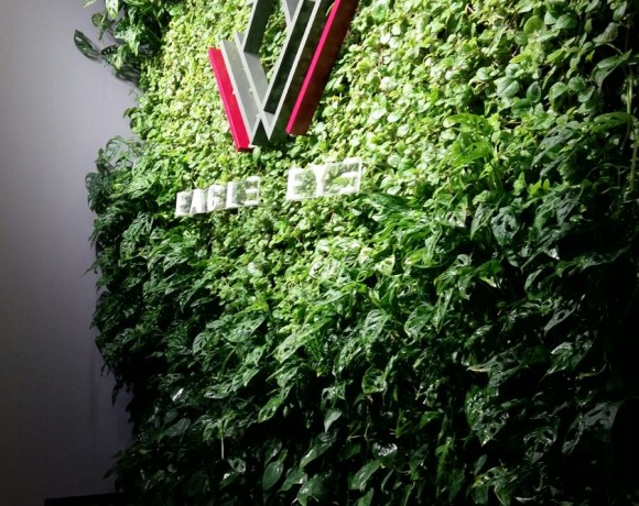 Indoor Vertical Garden, Eagle Eye Technologies Sdn Bhd