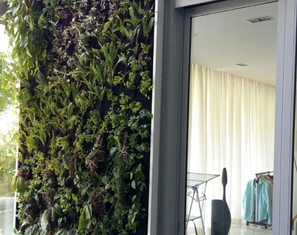 Green Wall @ The Katana Residences