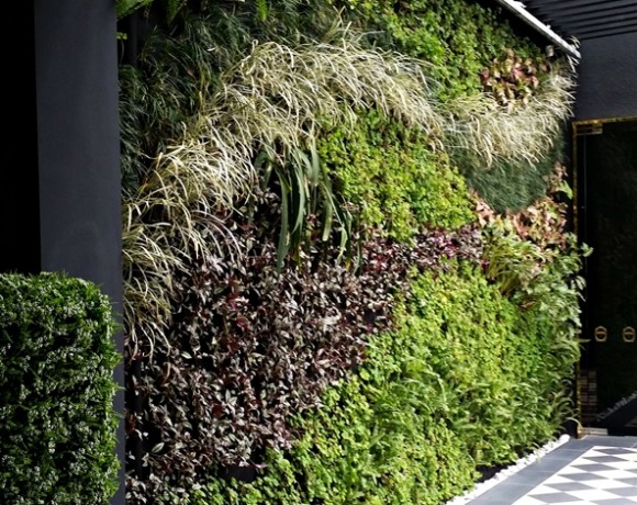 Eco Grandeur