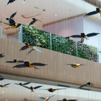 The Starling Mall – Damansara Uptown