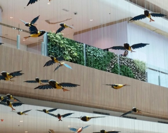 The Starling Mall – Damansara Uptown